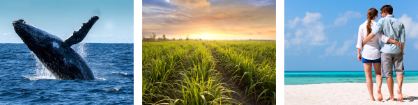 Tourism opportunities